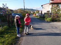 Obraz 14